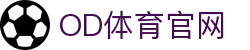 OD体育 - 欧洲杯合作平台